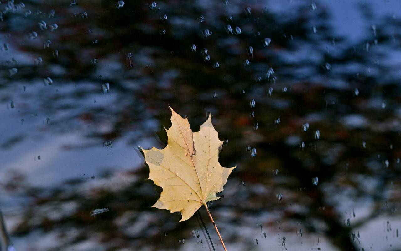 Herbstwetter