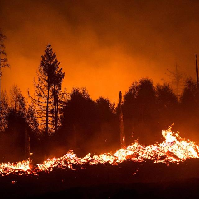 Waldbrand in Thüringen