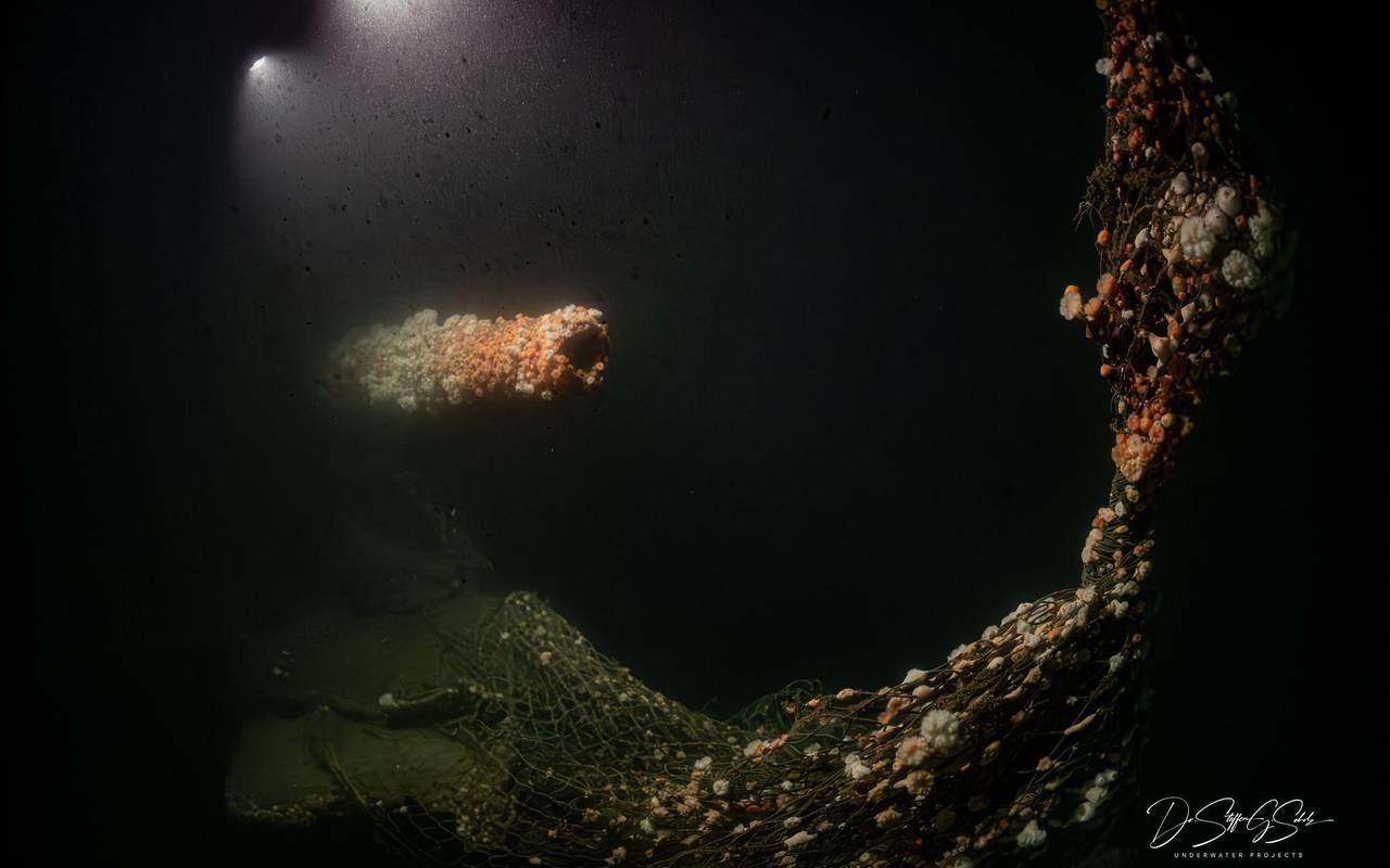 Von deutschem U-Boot versenkt: Forscher tauchen zu Wrack