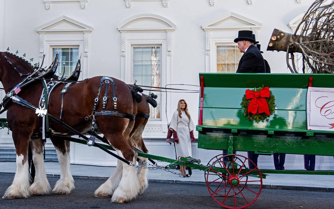 Ankunft des Weihnachtsbaums im Weißen Haus