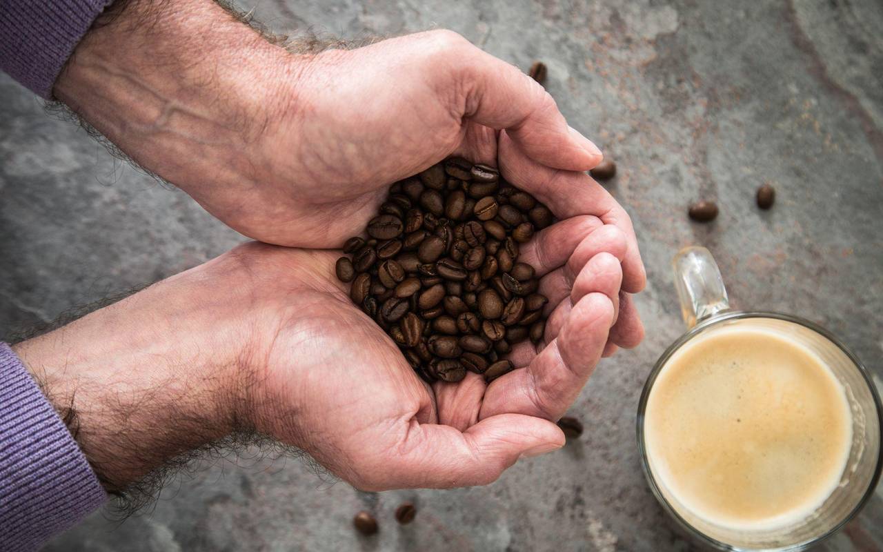 Ein Mann hält Kaffeebohnen in den Händen