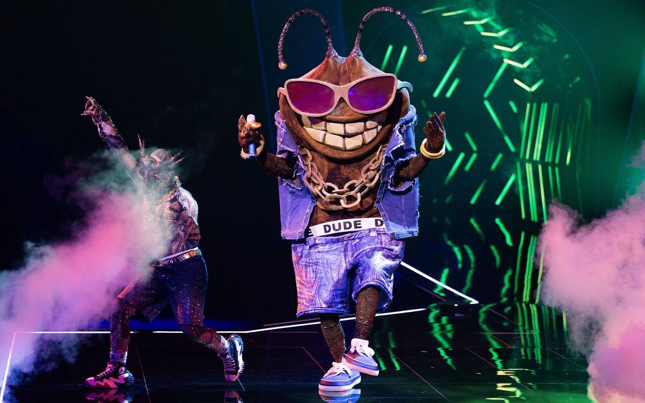 „The Masked Singer“