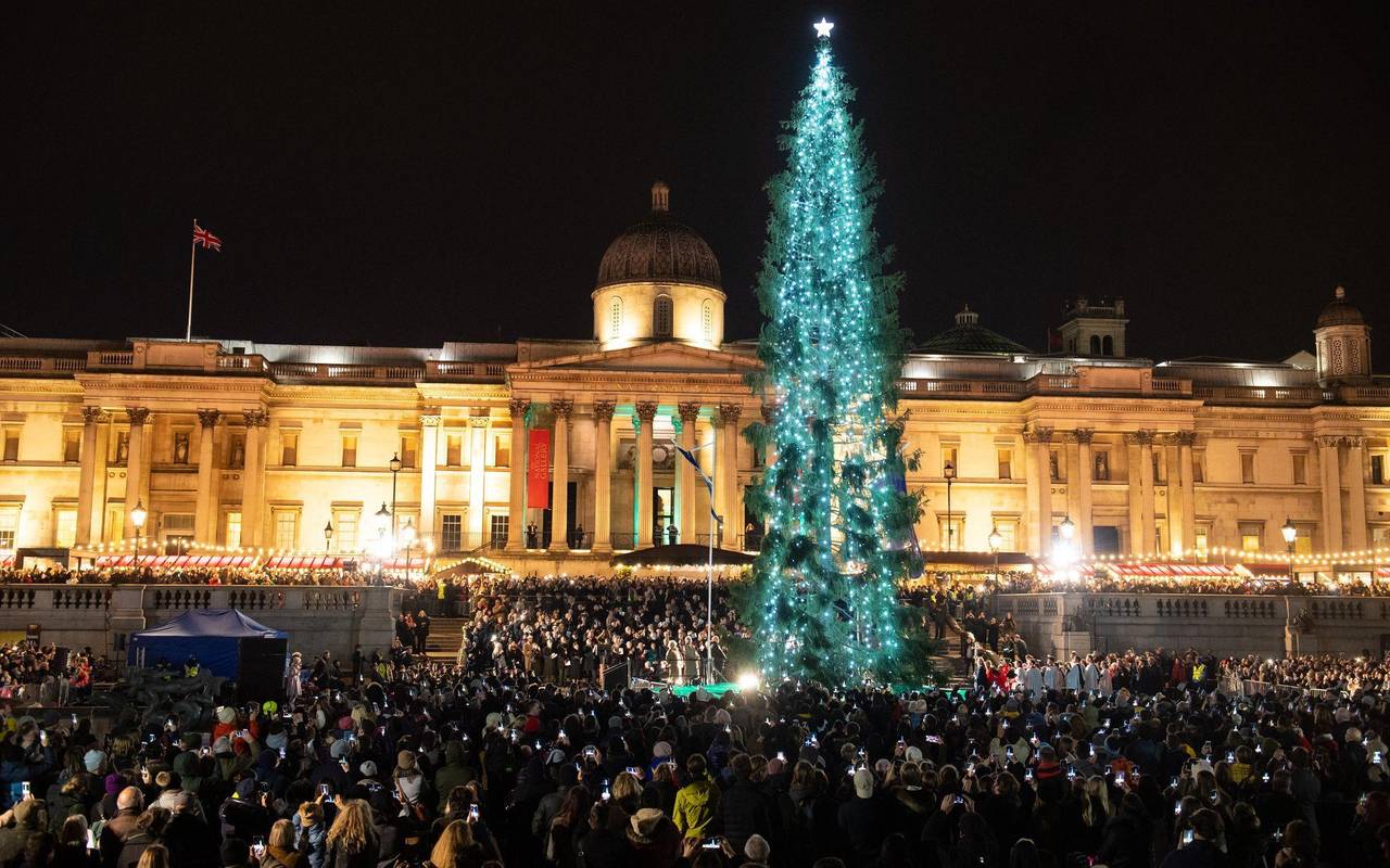 Weihnachtsbäume von traditionell bis digital