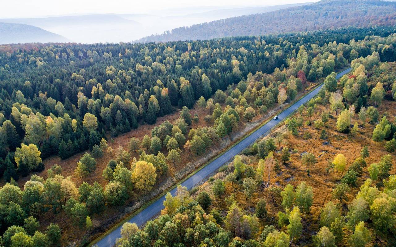 Forscher fordern CO2-Entnahmen