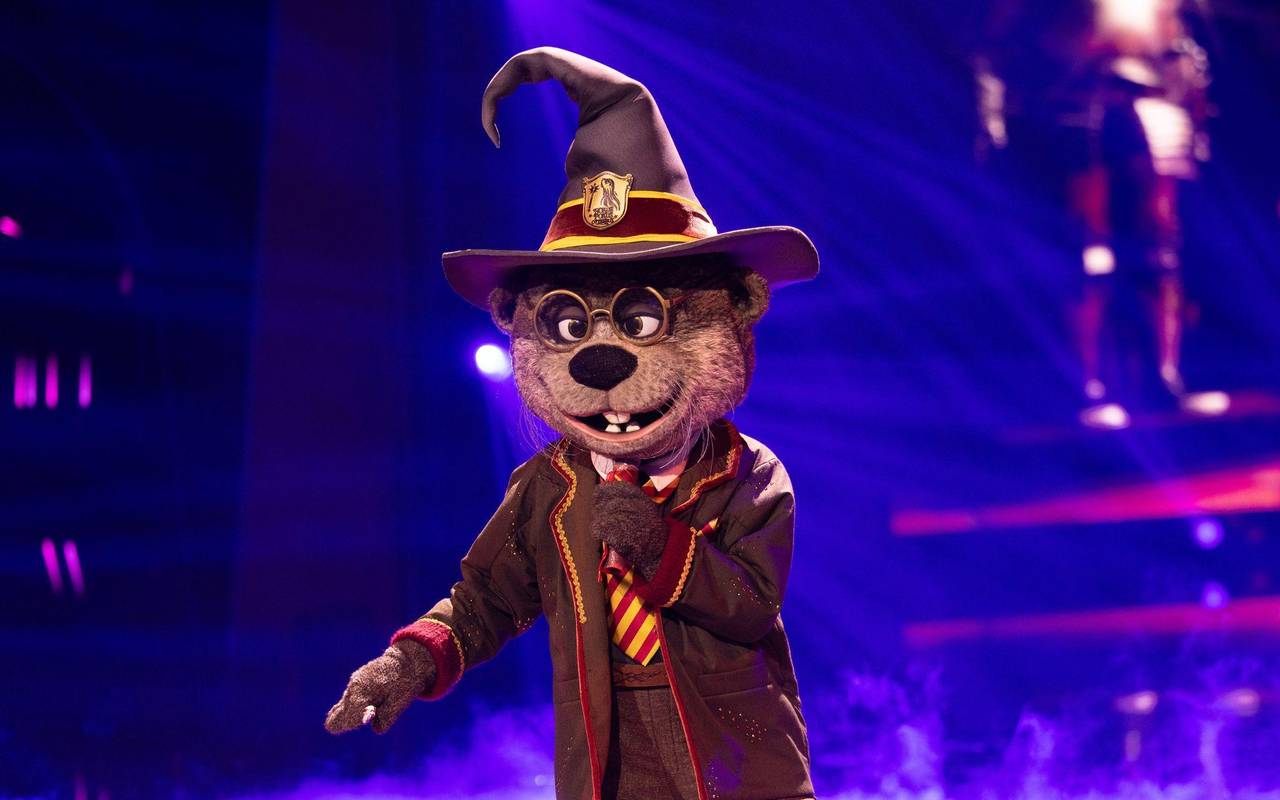 „The Masked Singer“