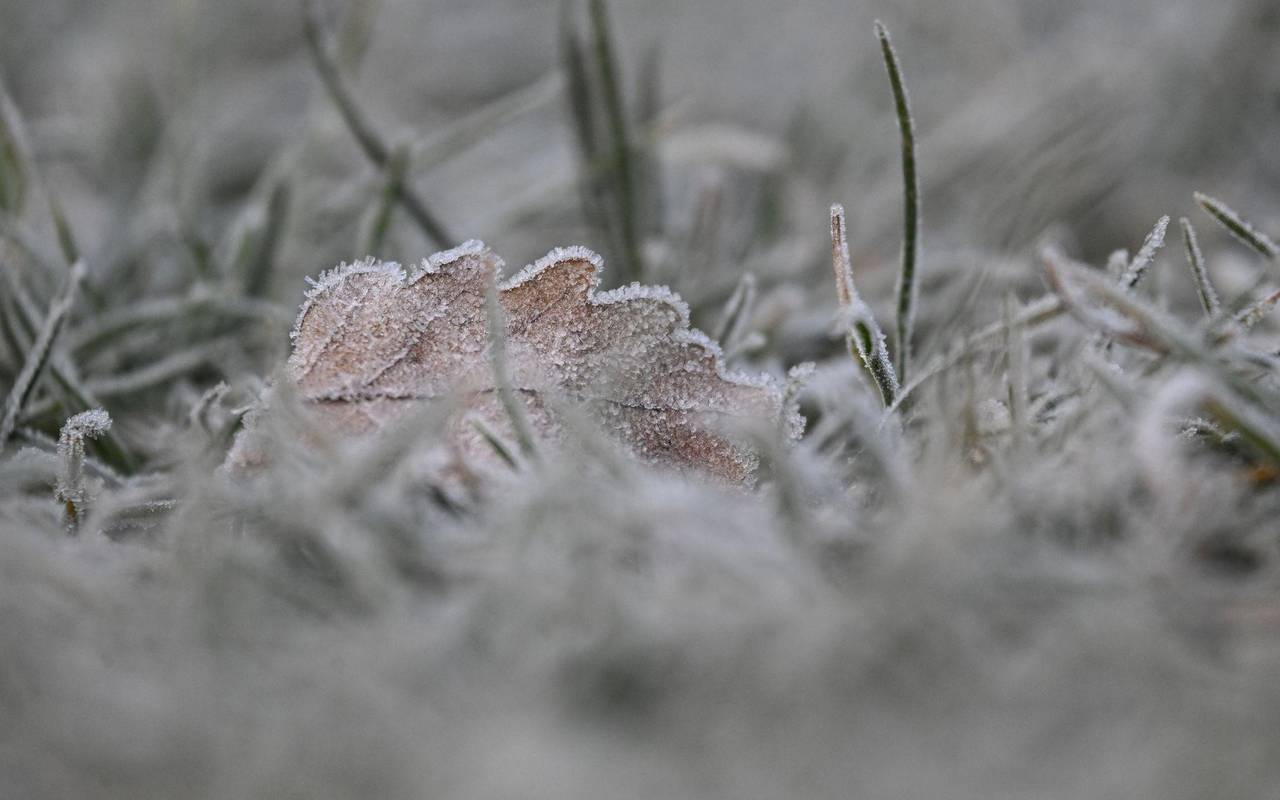 Morgenfrost in Baden-Württemberg