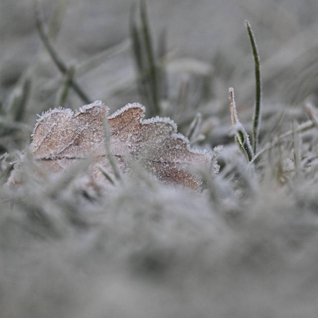 Morgenfrost in Baden-Württemberg