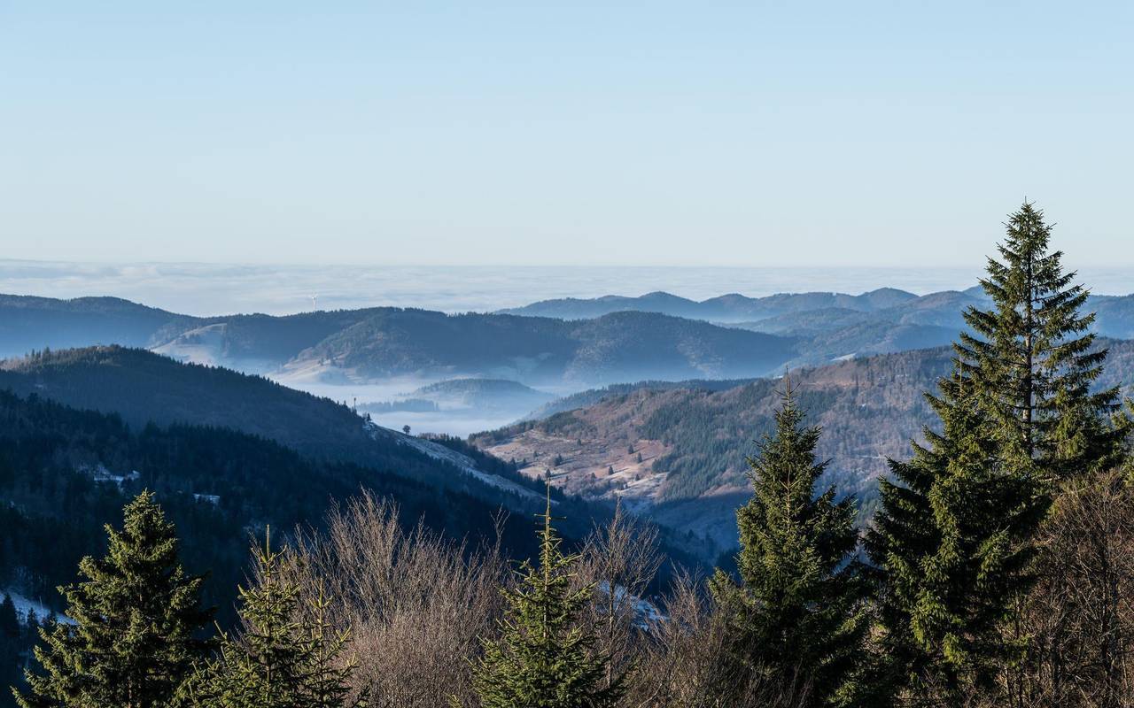 Wetter in Baden-Württemberg