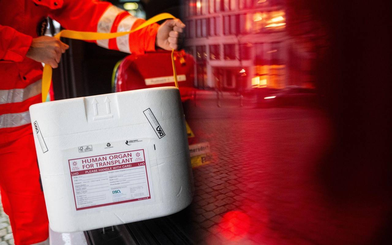 Mitarbeiter des DRK stellt Kühlbox für eine Organspende in Auto