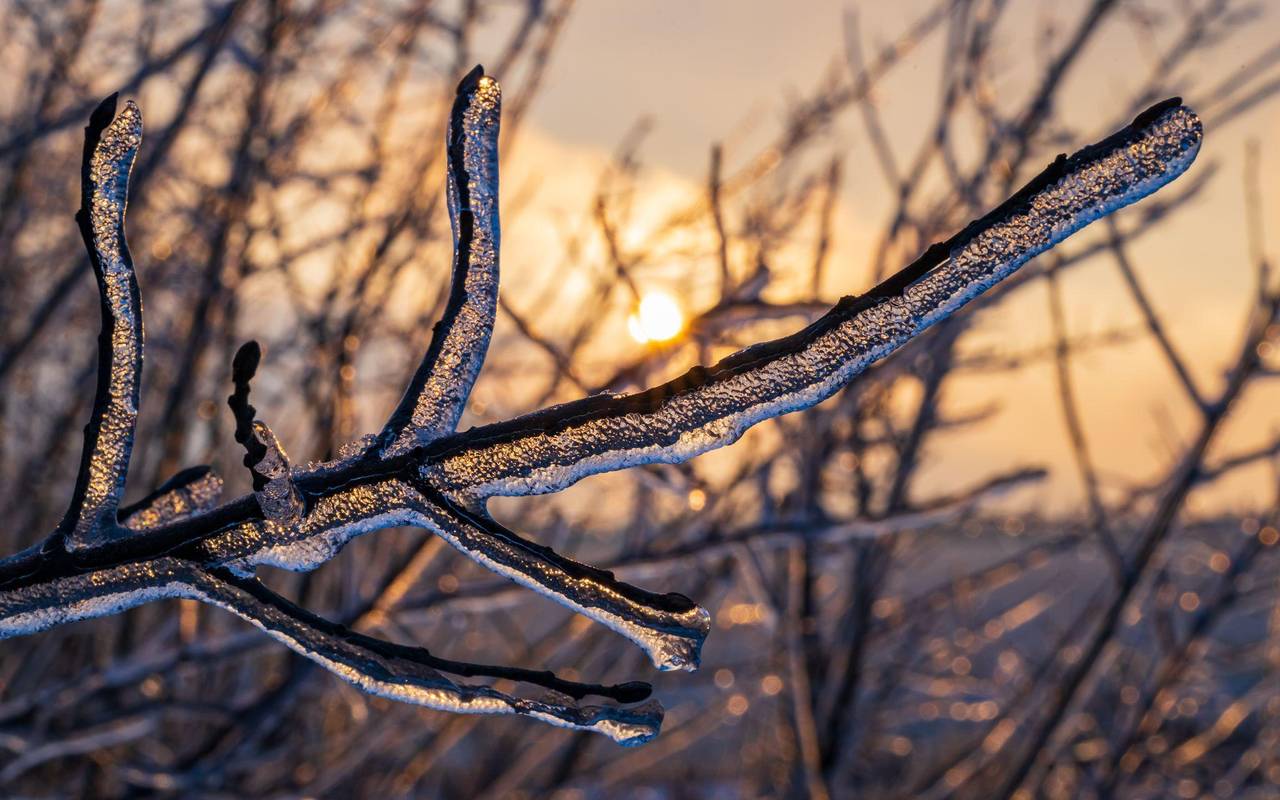 Winterwetter in Brandenburg