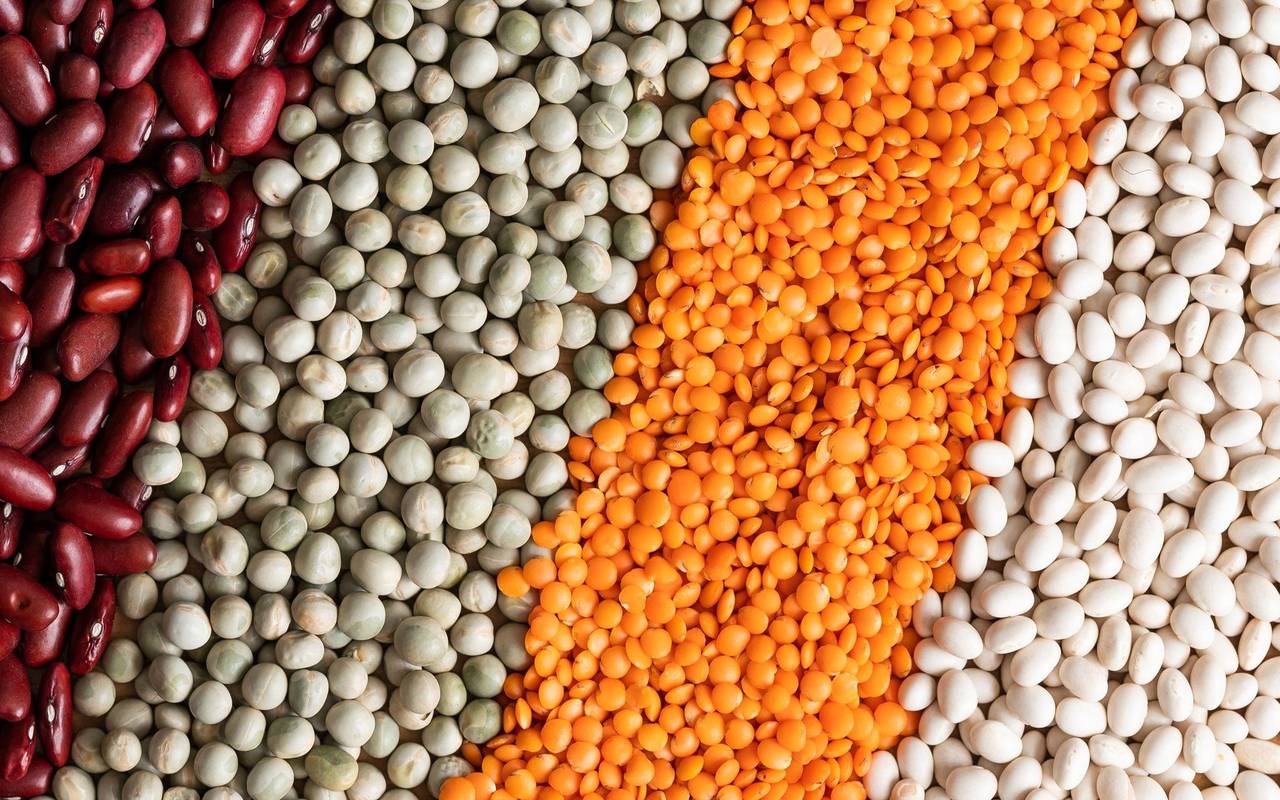 Rote und weiße Bohnen, Erbsen und rote Linsen