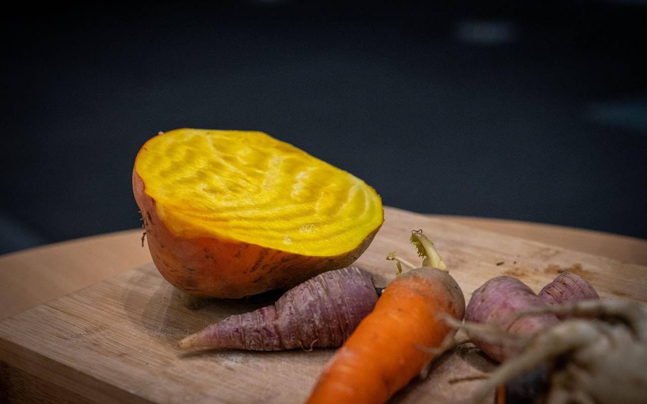 Gelbe Rote Bete neben einer Karotte und einer Mairübe