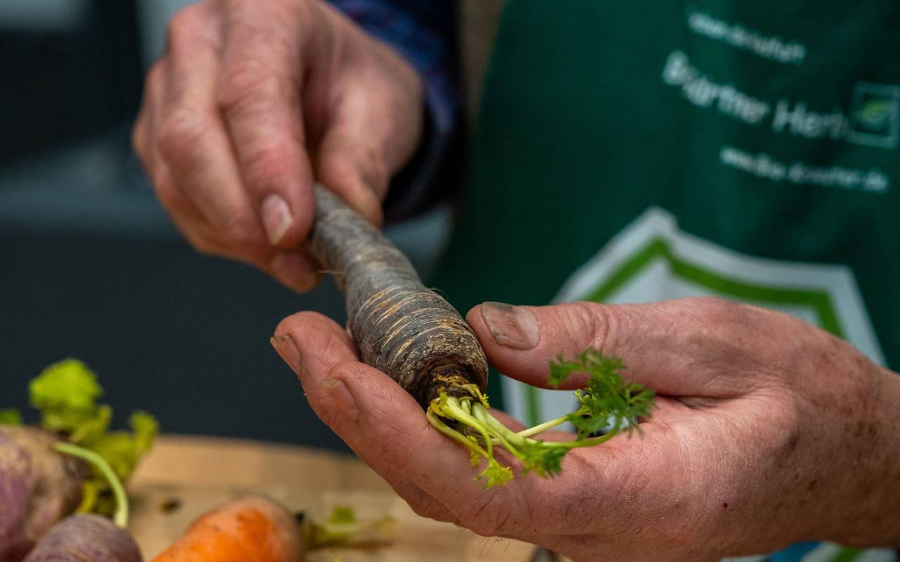 Christian Herb hält eine schwarze Karotte in den Händen