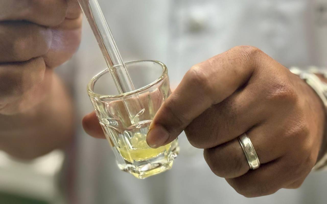 Schlangenfarm in Bangkok zur Herstellung von Antiserum