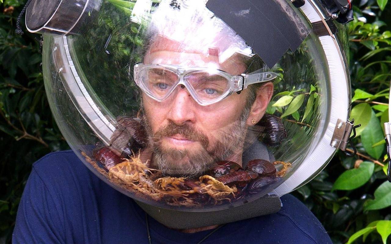 Ich bin ein Star - Holt mich hier raus! -Tag 17