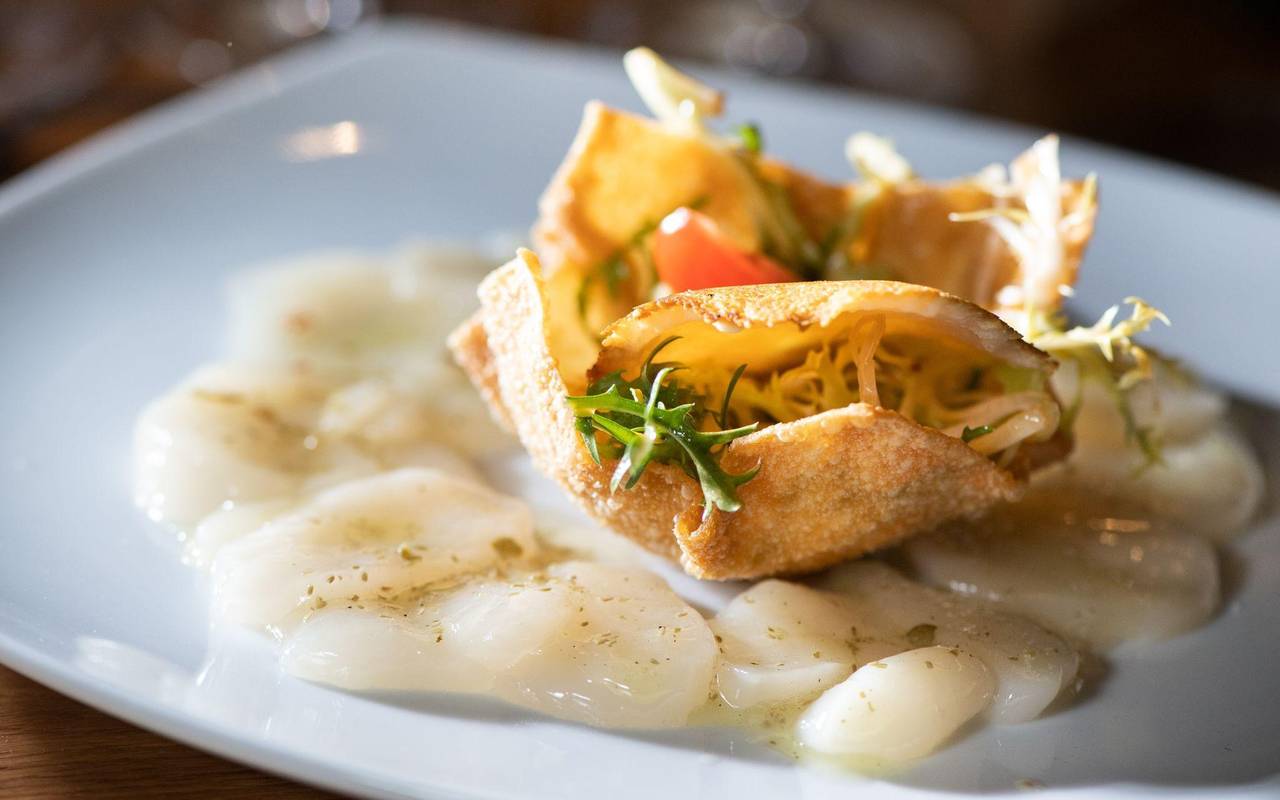 Jakobsmuschel-Carpaccio