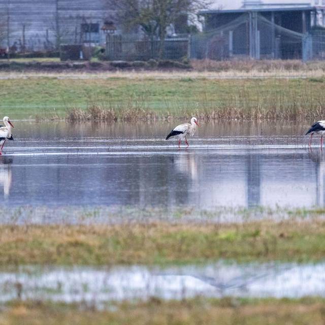 Hochwasser in Bayern