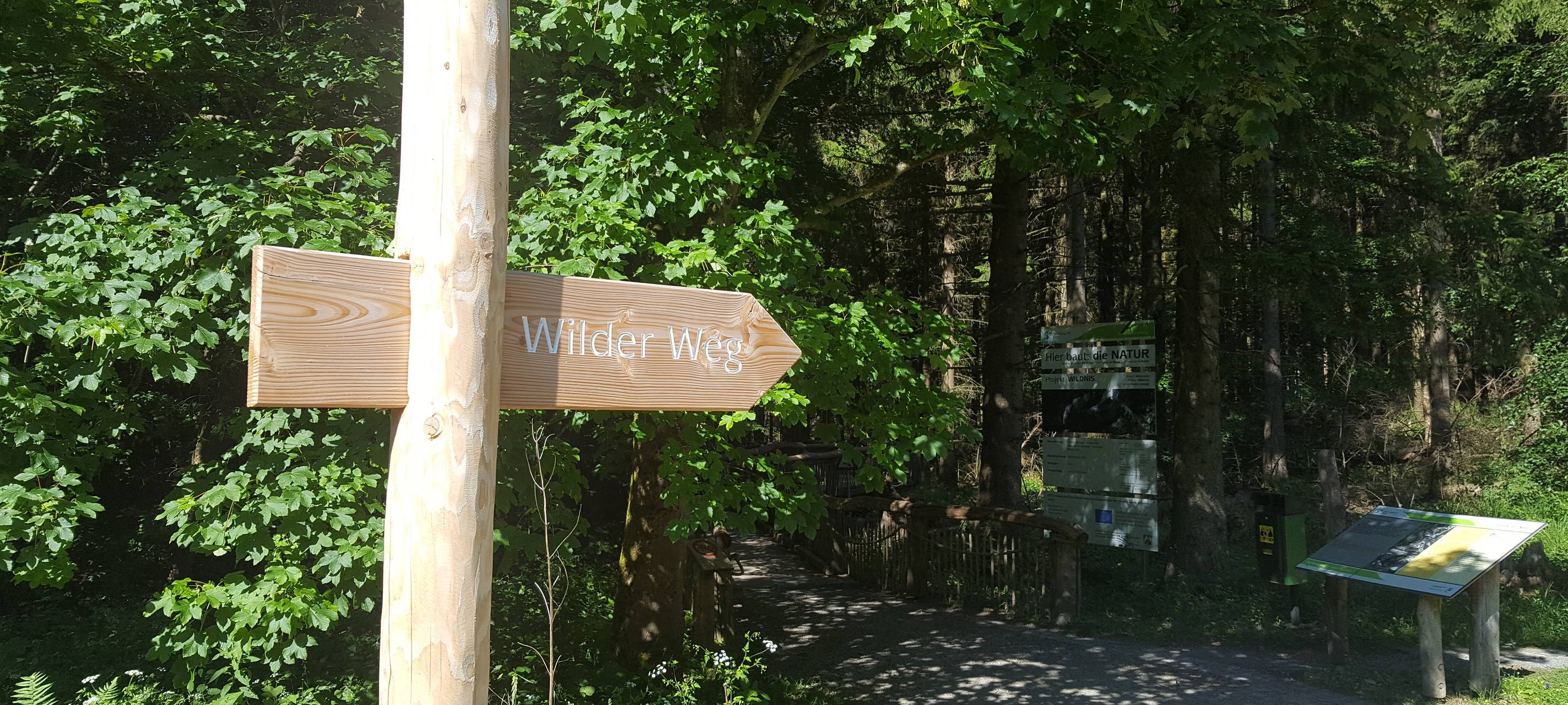 Weniger Besucher im Nationalpark