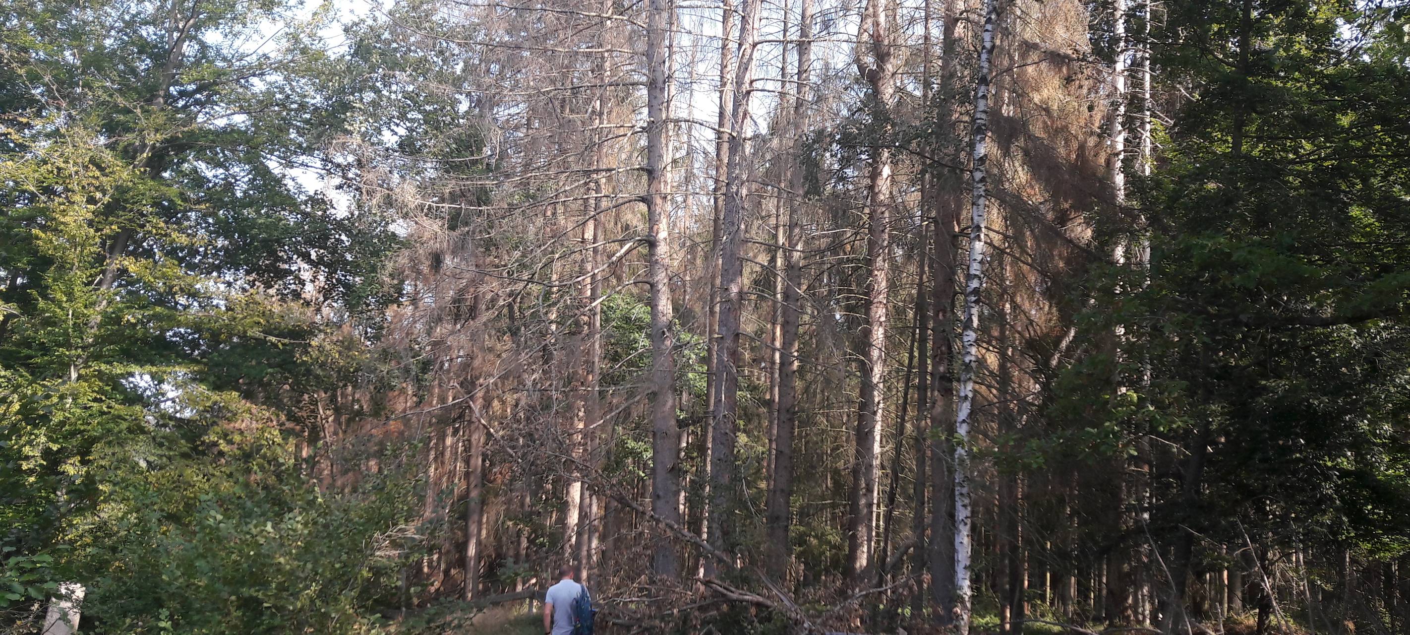 Hilfe vom Bund für Landwirte