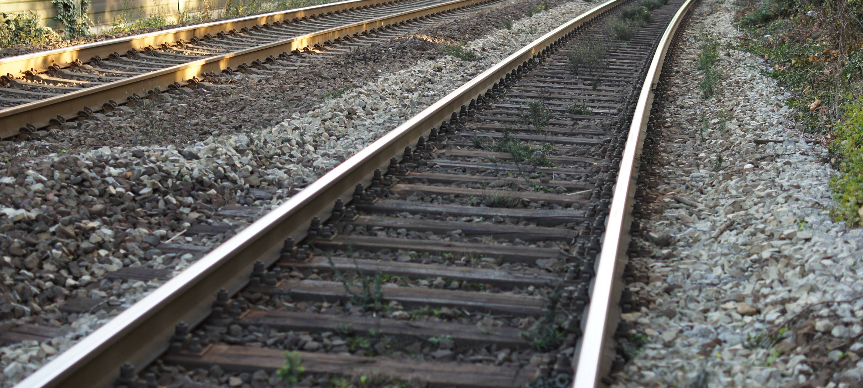 Resolution für schnellen Ausbau