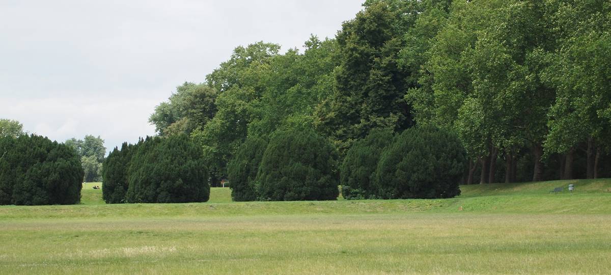 Landschaftsplan: Bürgerbeteiligung startet