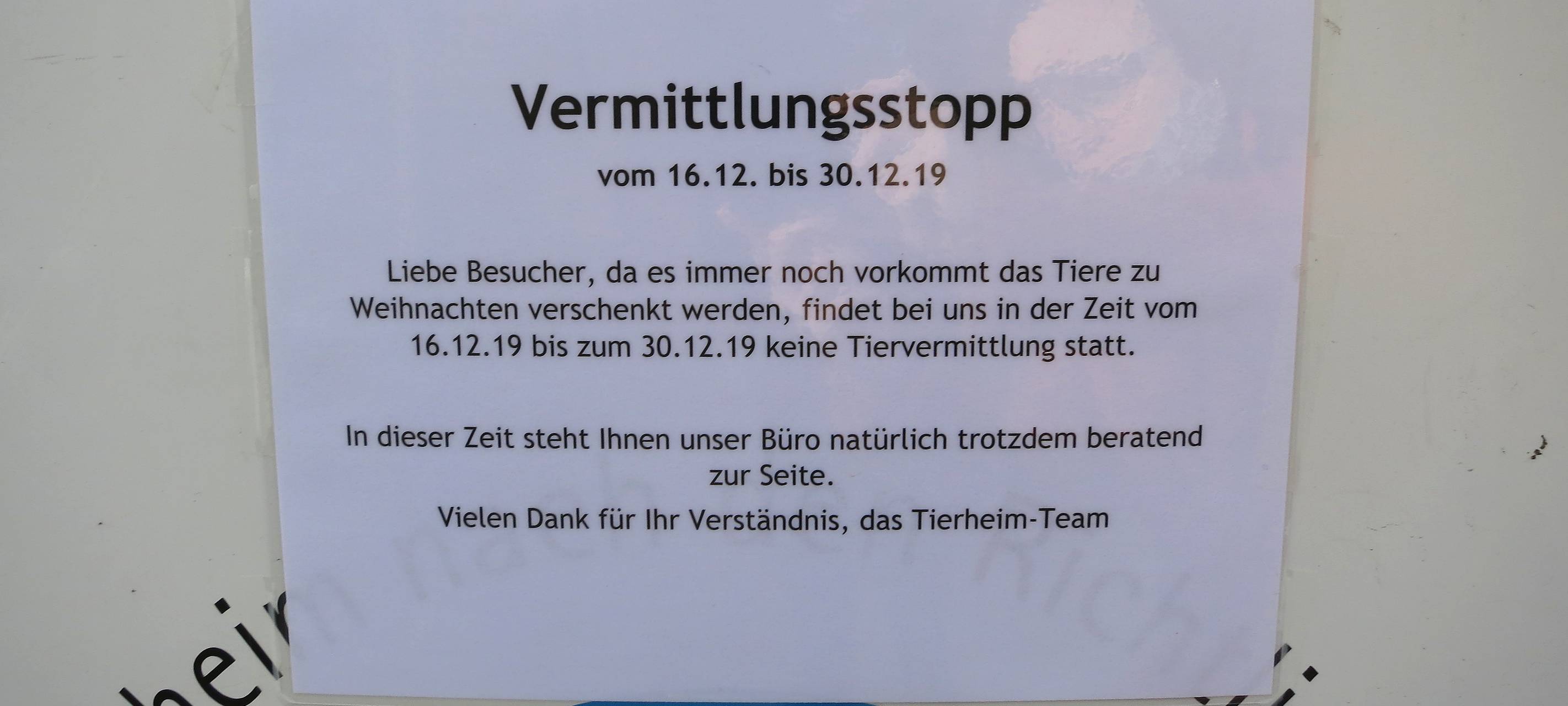 Vermittlungsstopp im Tierheim