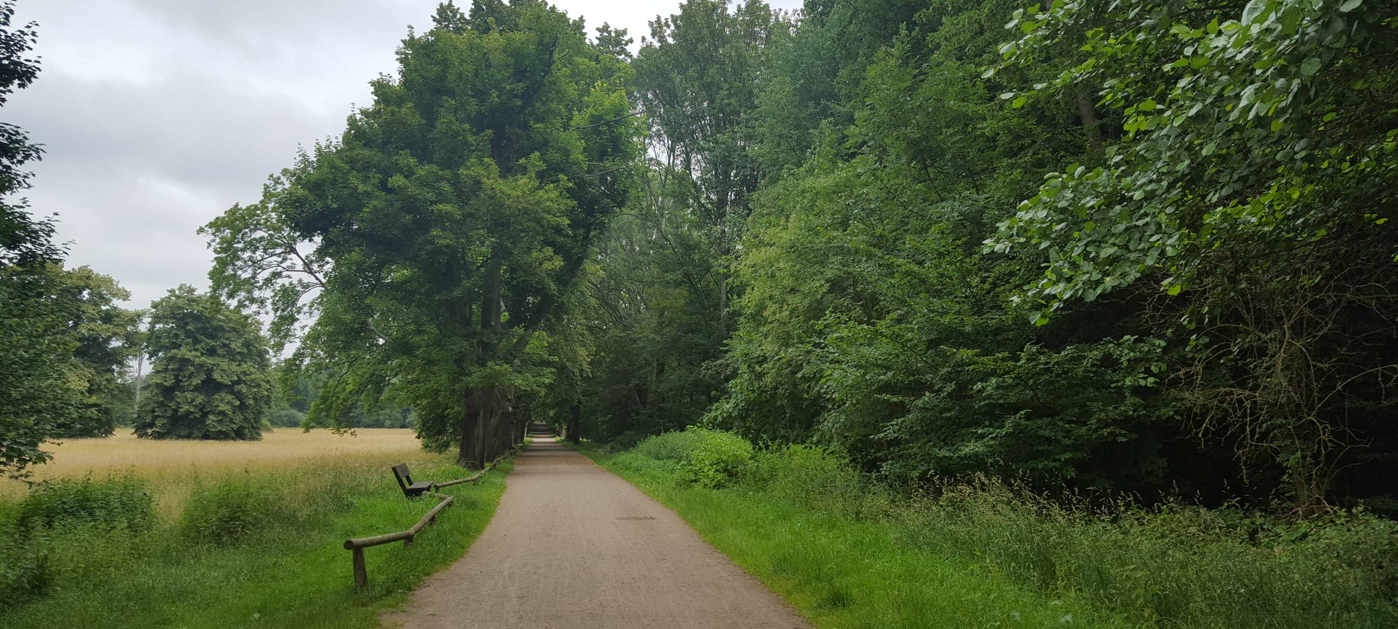 Hohe Investitionen in Umweltschutz