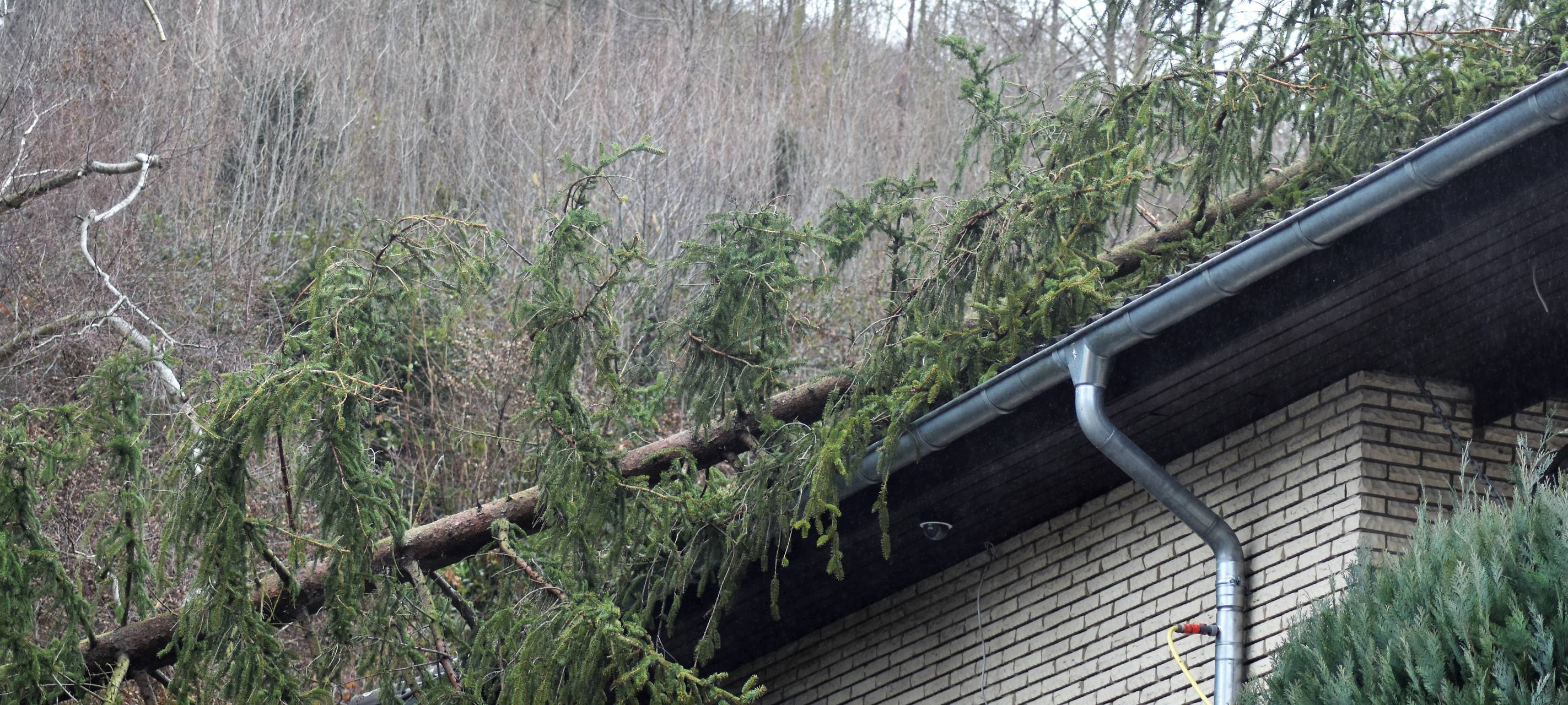 Sturmeinsätze im Kreis Düren