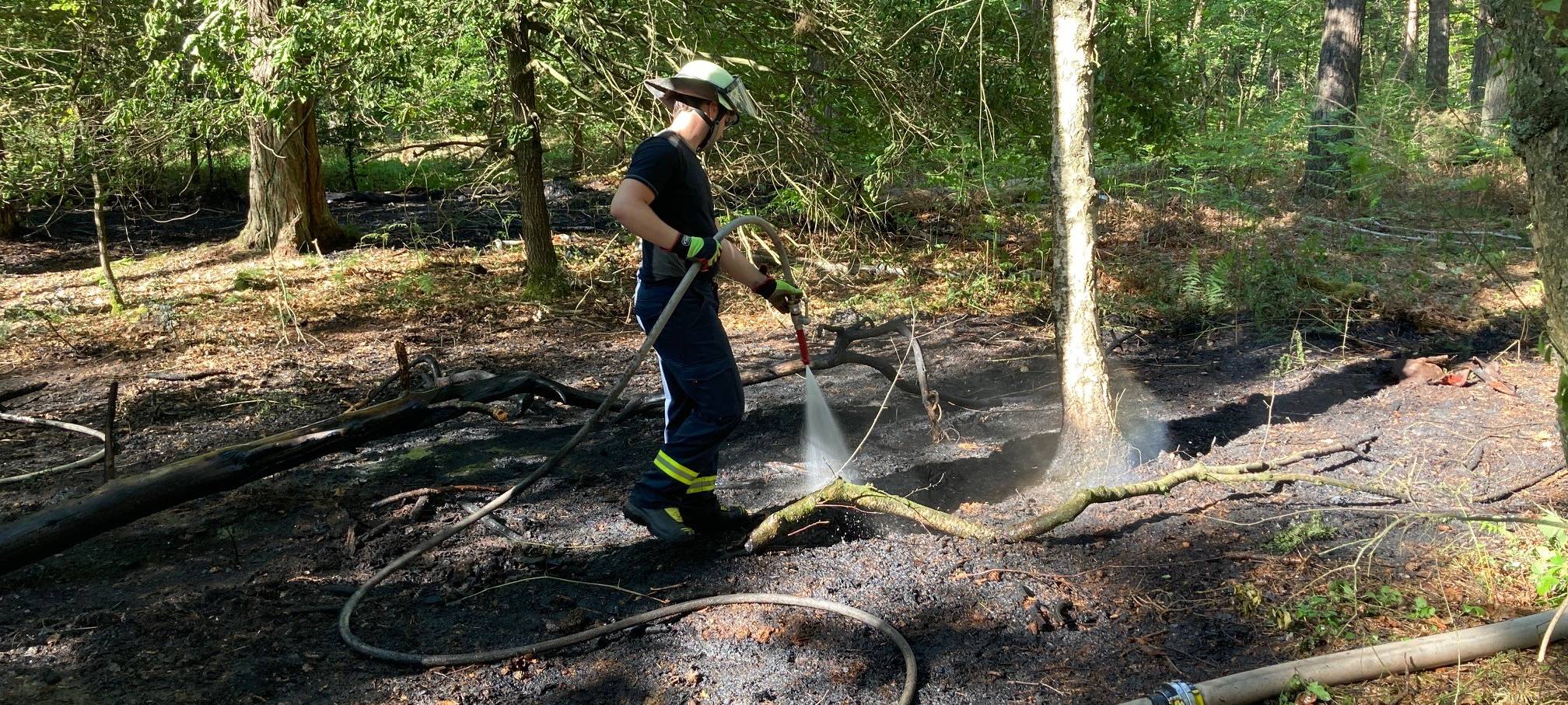 Spaziergänger können helfen den Wald zu schützen