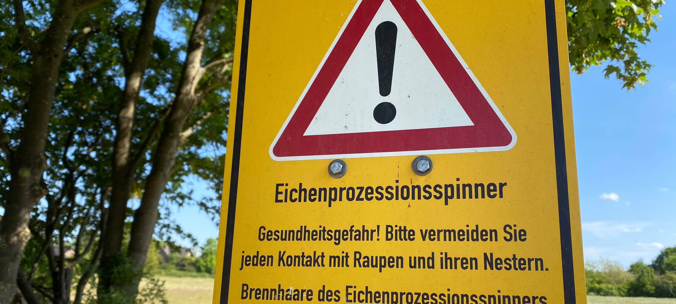 Warnung vor Waldspaziergang