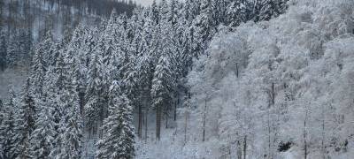 Glatte Straßen nach Schneefall