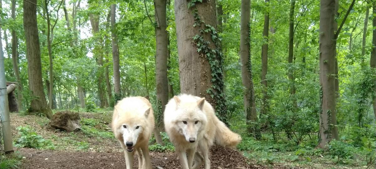 Brückenkopfzoo bekommt Unterstützung
