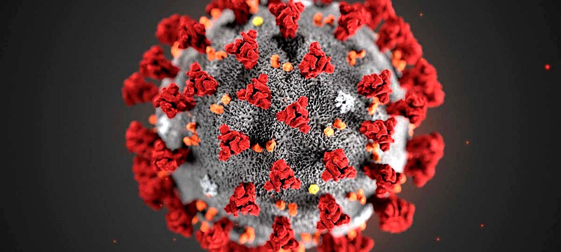 Wieder sieben Todesfälle