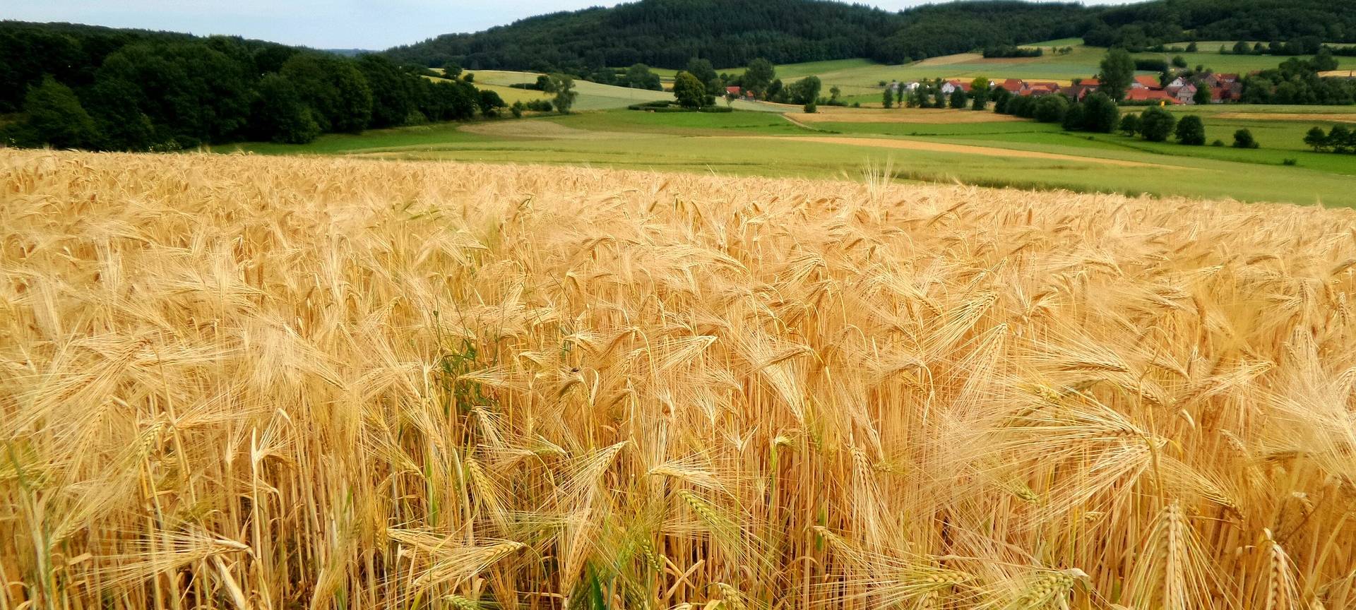 Diebstähle auf Feld und Acker