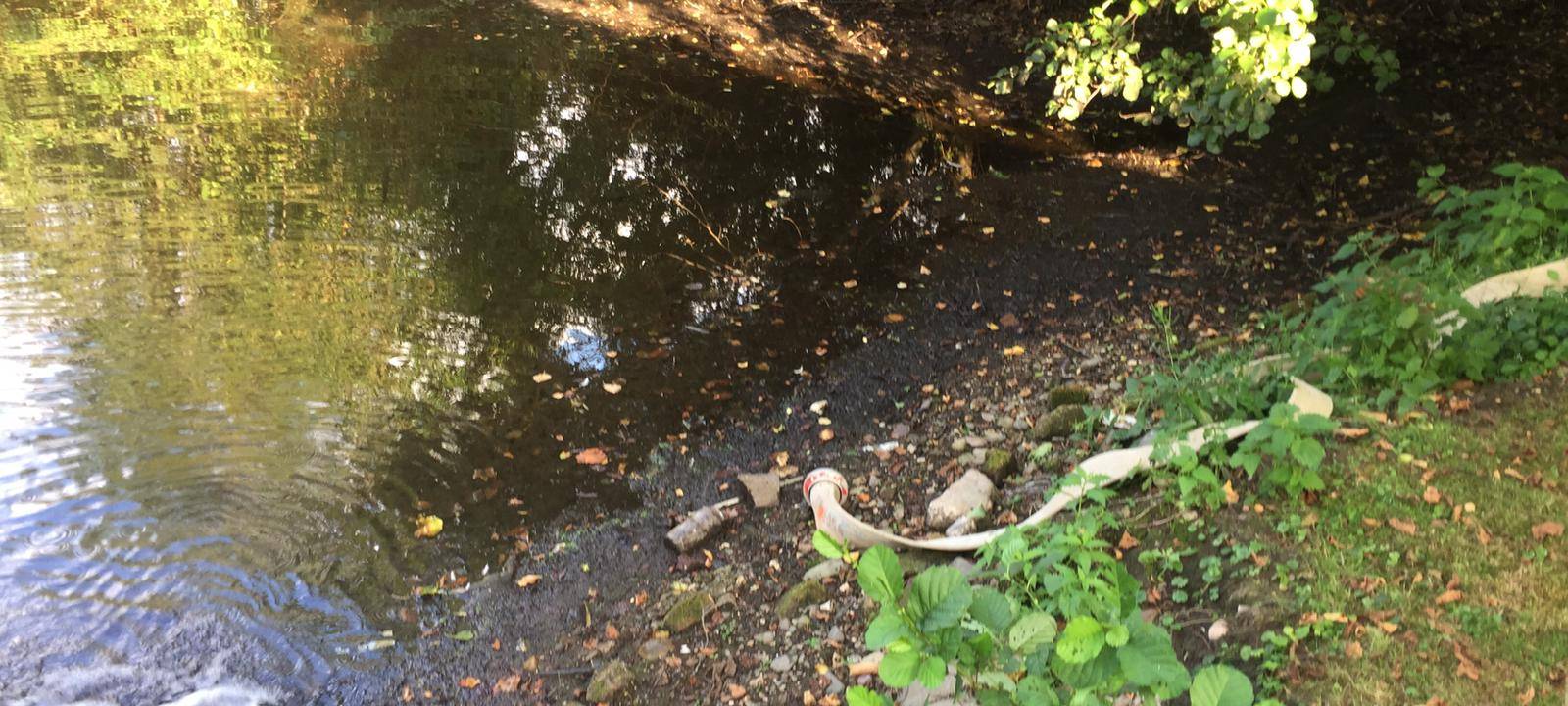 Teich muss gerettet werden