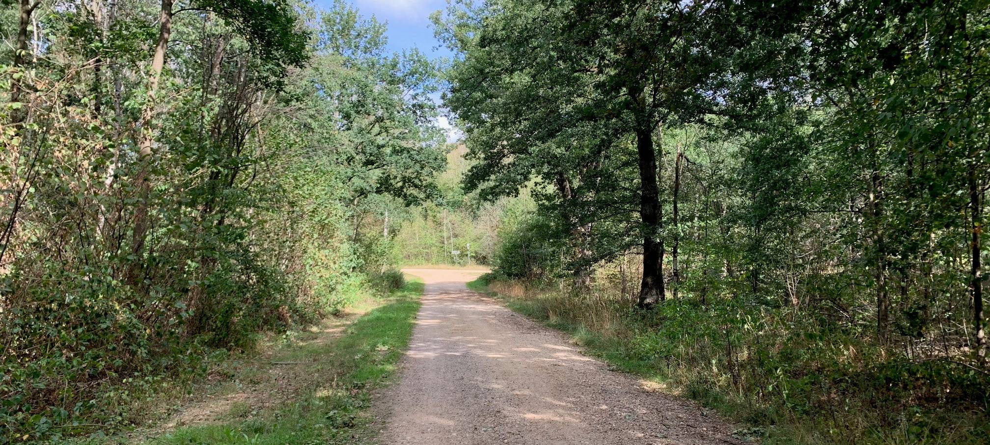 Aktion für Hürtgenwald