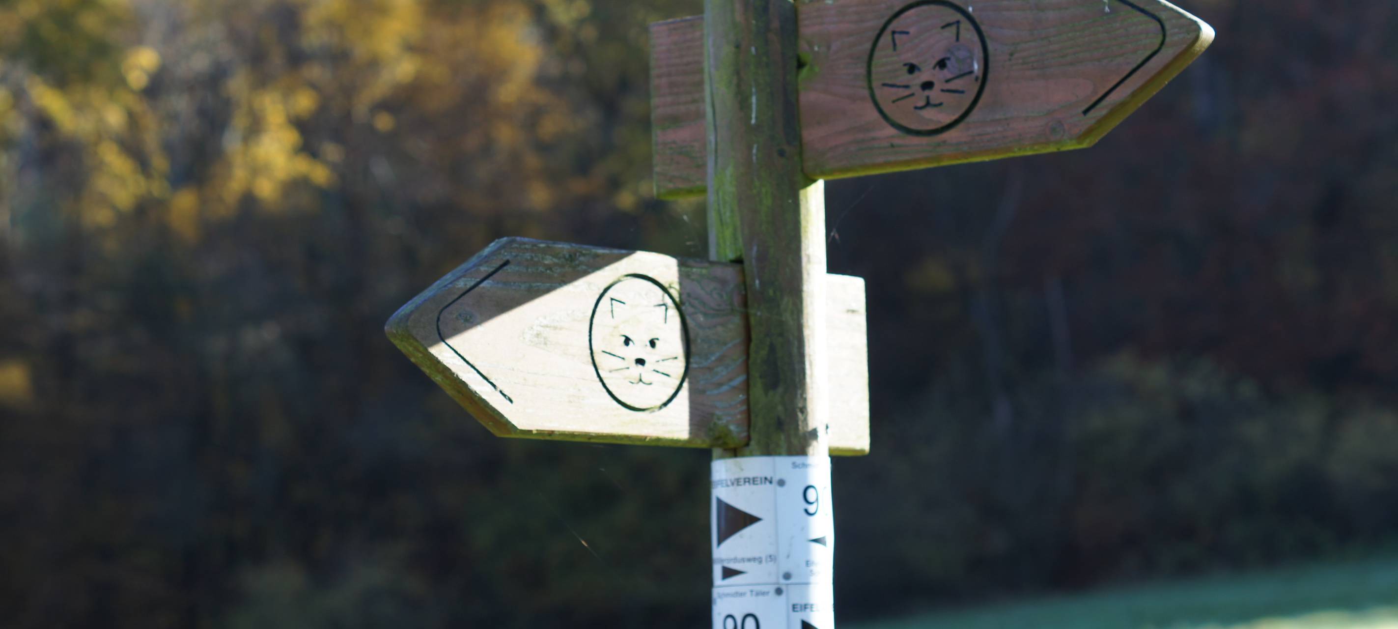 Brettspiel zum Wildnis-Trail jetzt auch in großer Version