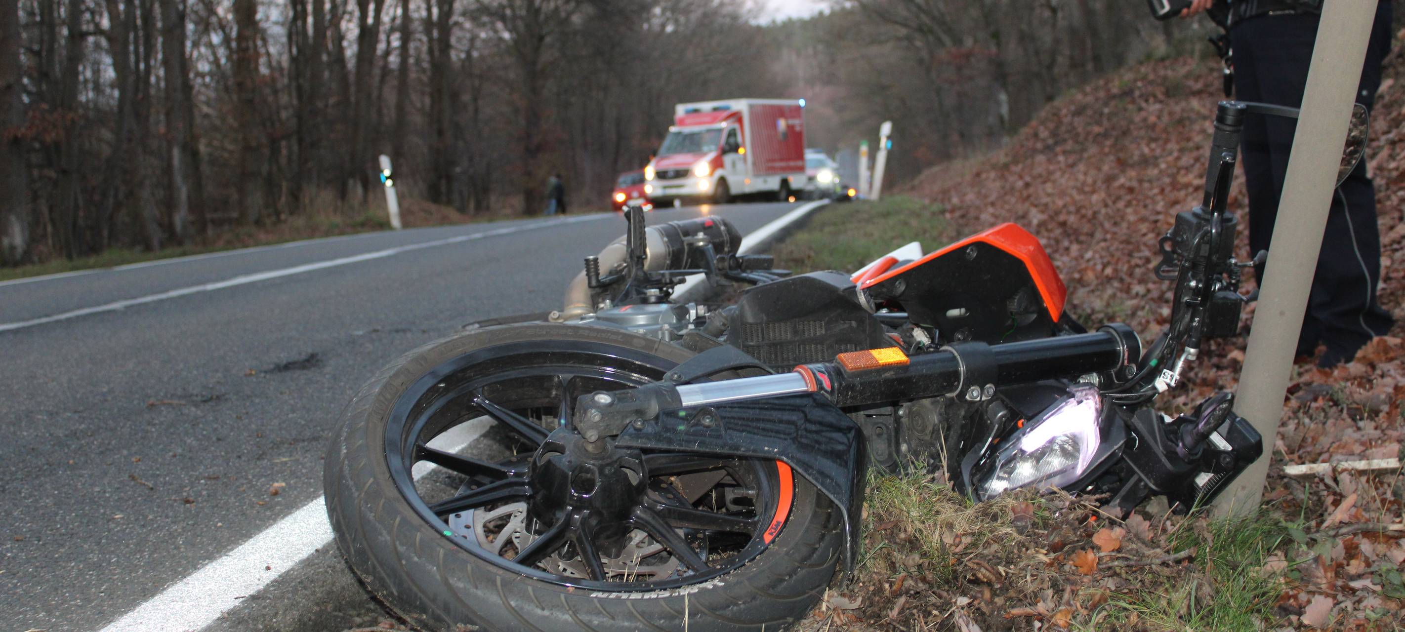Reh sorgt für Unfall