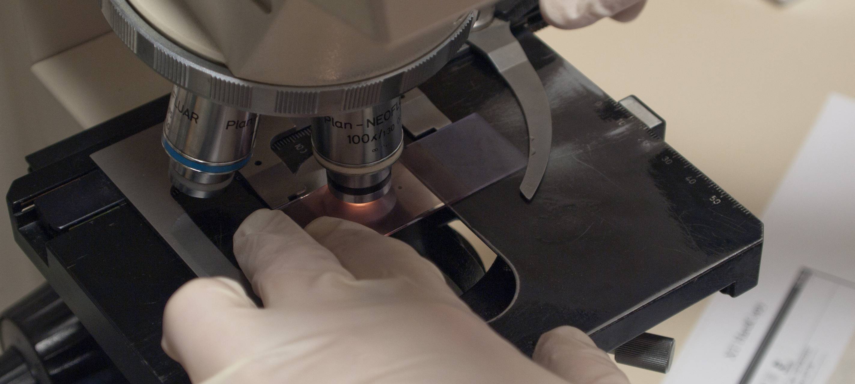 Corona-Virus bei Karnevalssitzung übertragen?