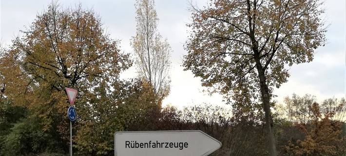 Hohe Ernteerträge bei Rübenkampagne