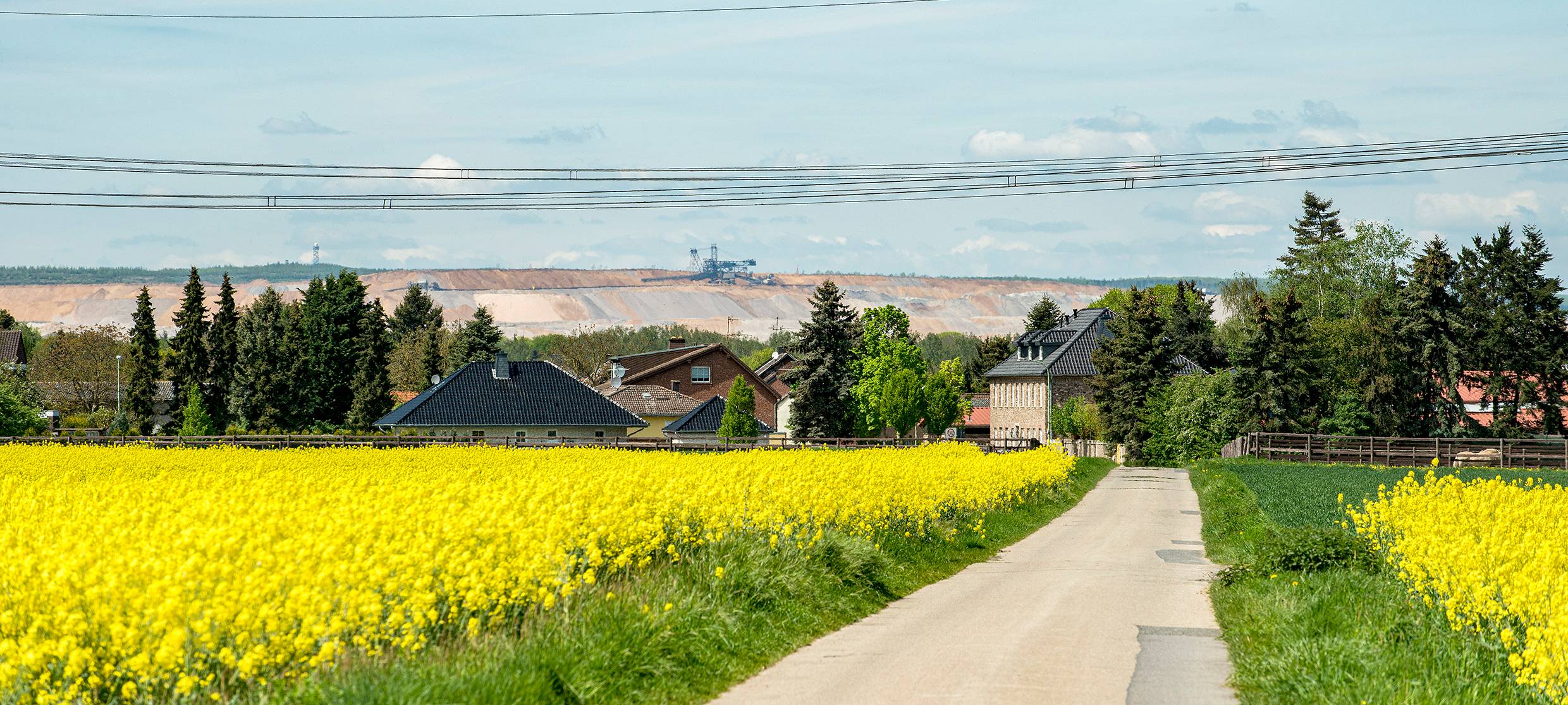 Rehkitze mit Drohnen gerettet