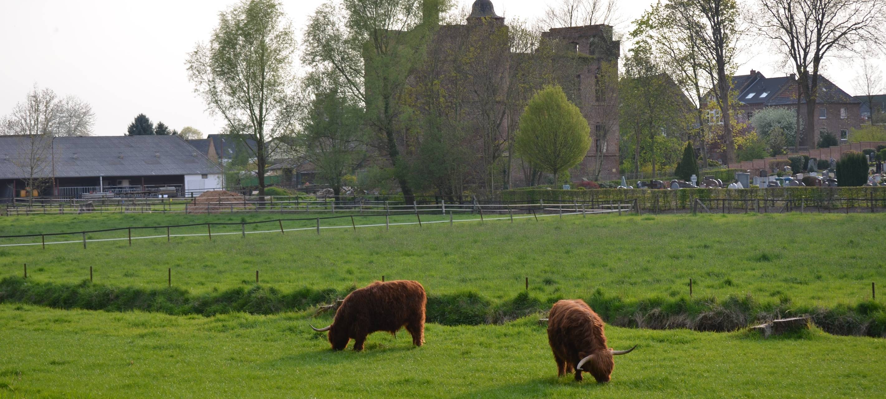 Nörvenich punket im Ranking