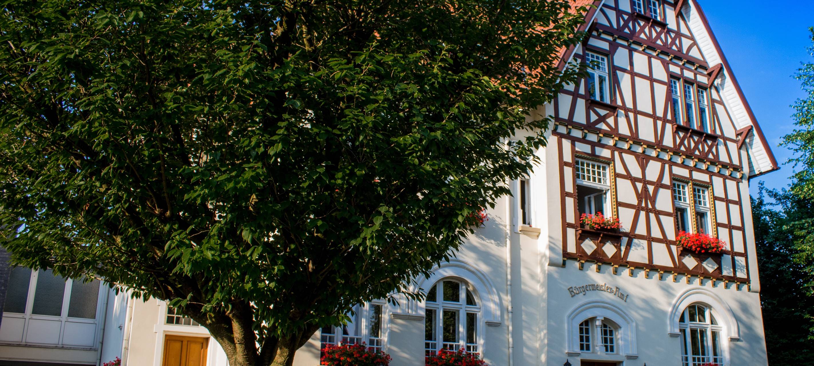Bauland in Nörvenich