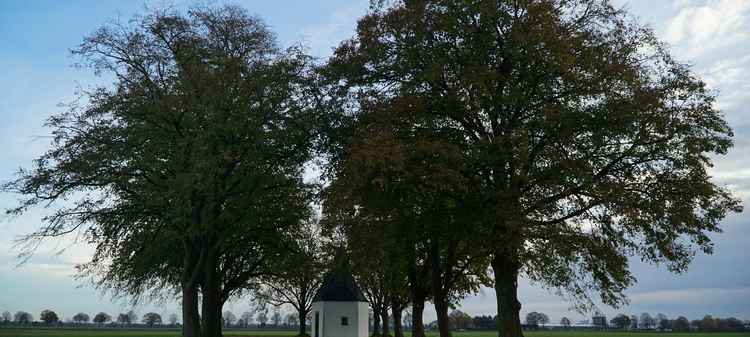 Konzept für Flüchtlinge