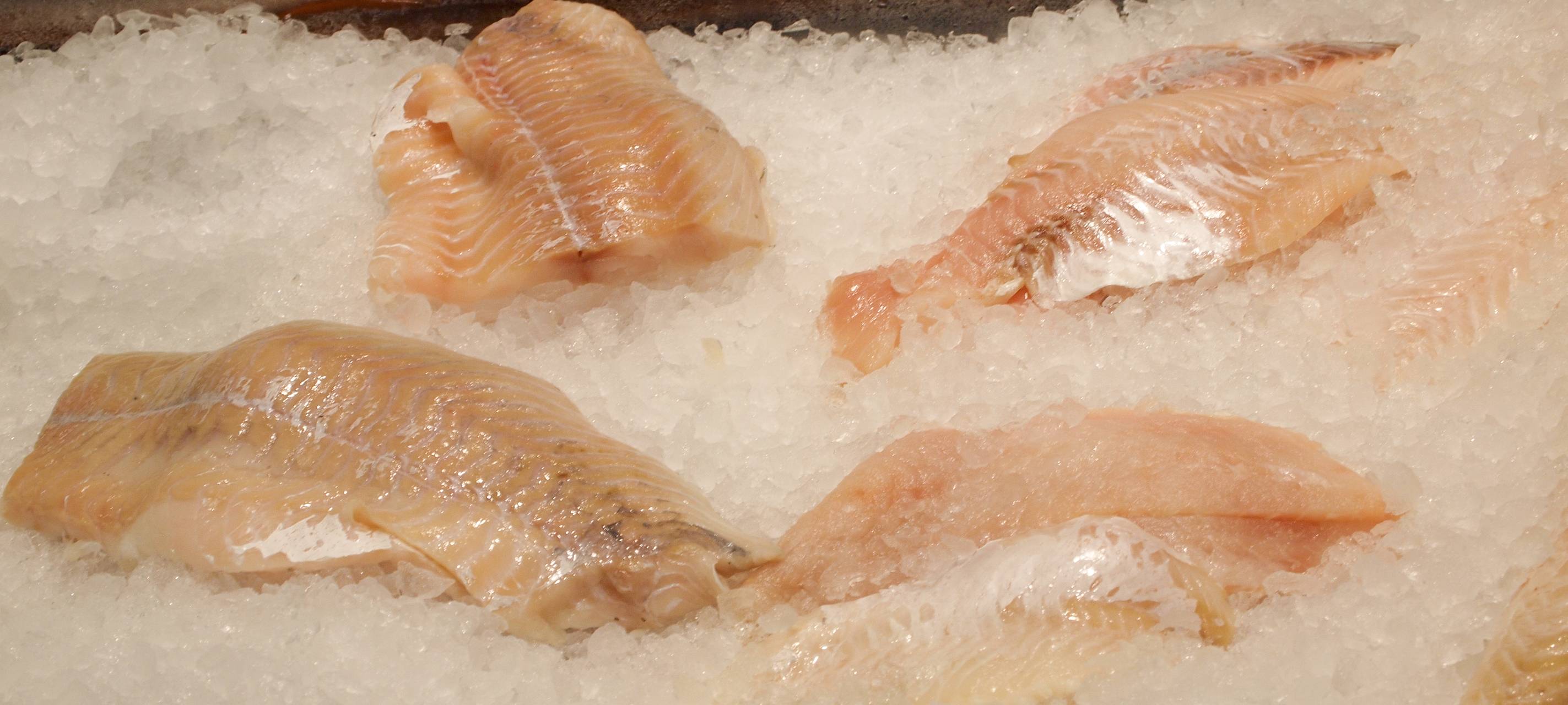 Dürener Polizei findet vergammelte Fischreste in LKW