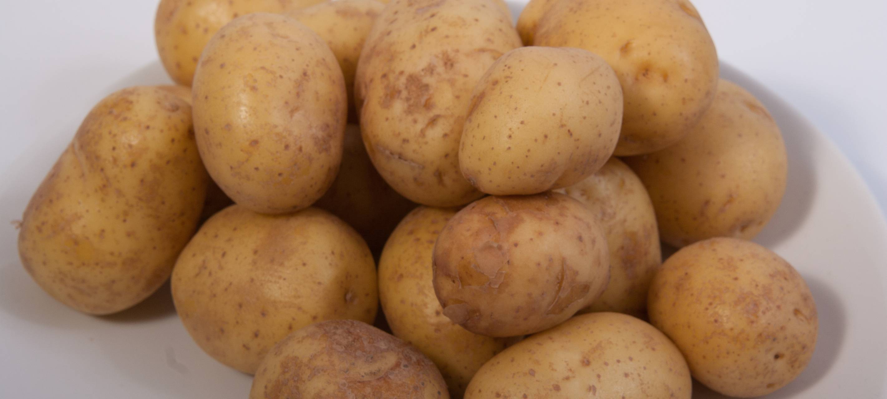 Preissteigerung für Kartoffeln erwartet