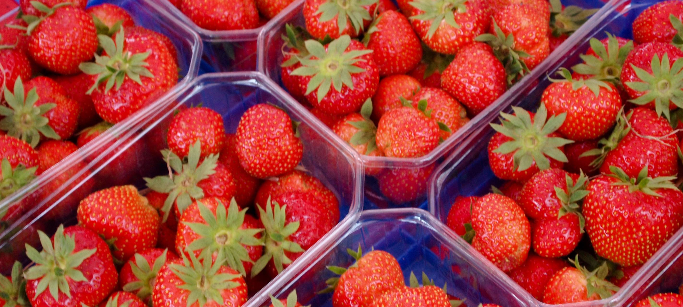 Weniger Erdbeeren geerntet