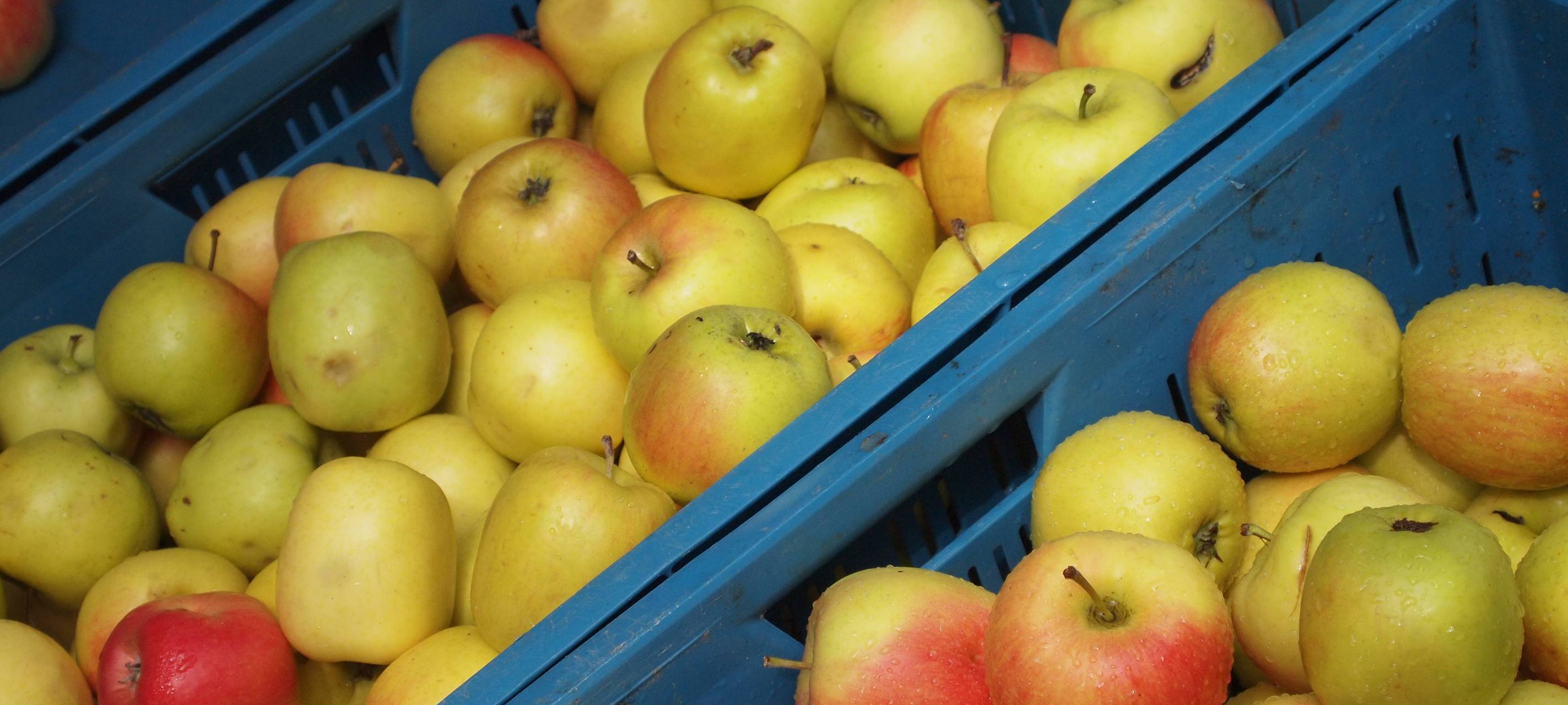 Dreimal Markt hintereinander