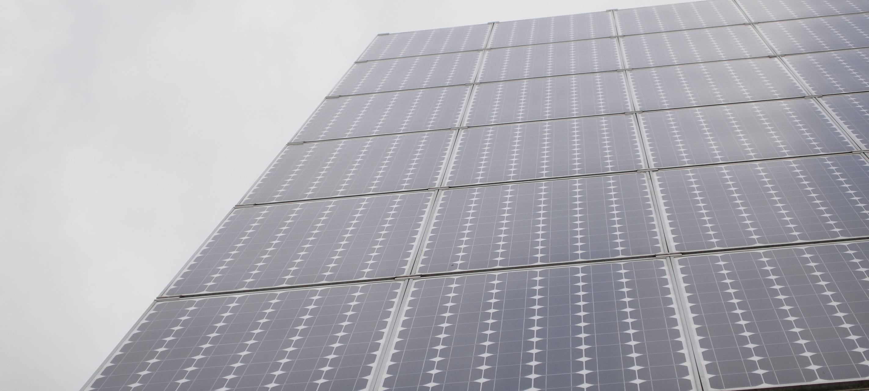 Landwirtschaft am Solarmodul