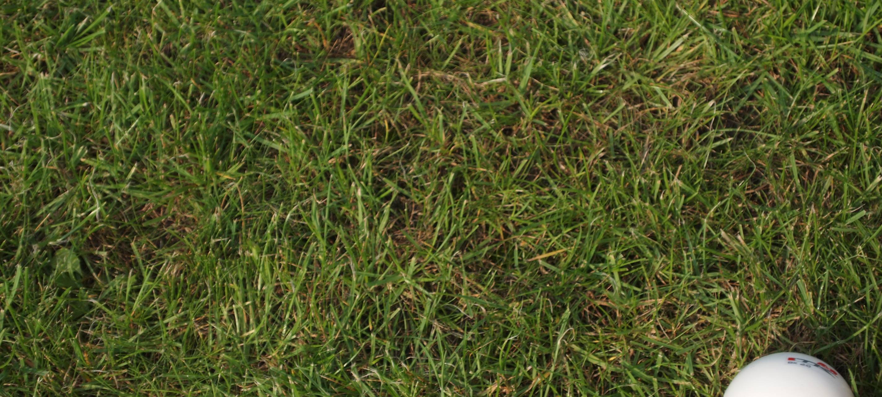 Sport wird unterstützt